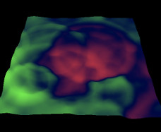 CUDA Wave Equation Simulation